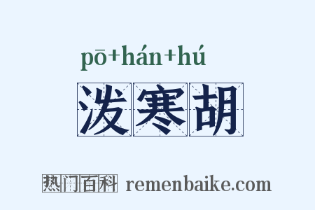泼寒胡是什么意思的图片